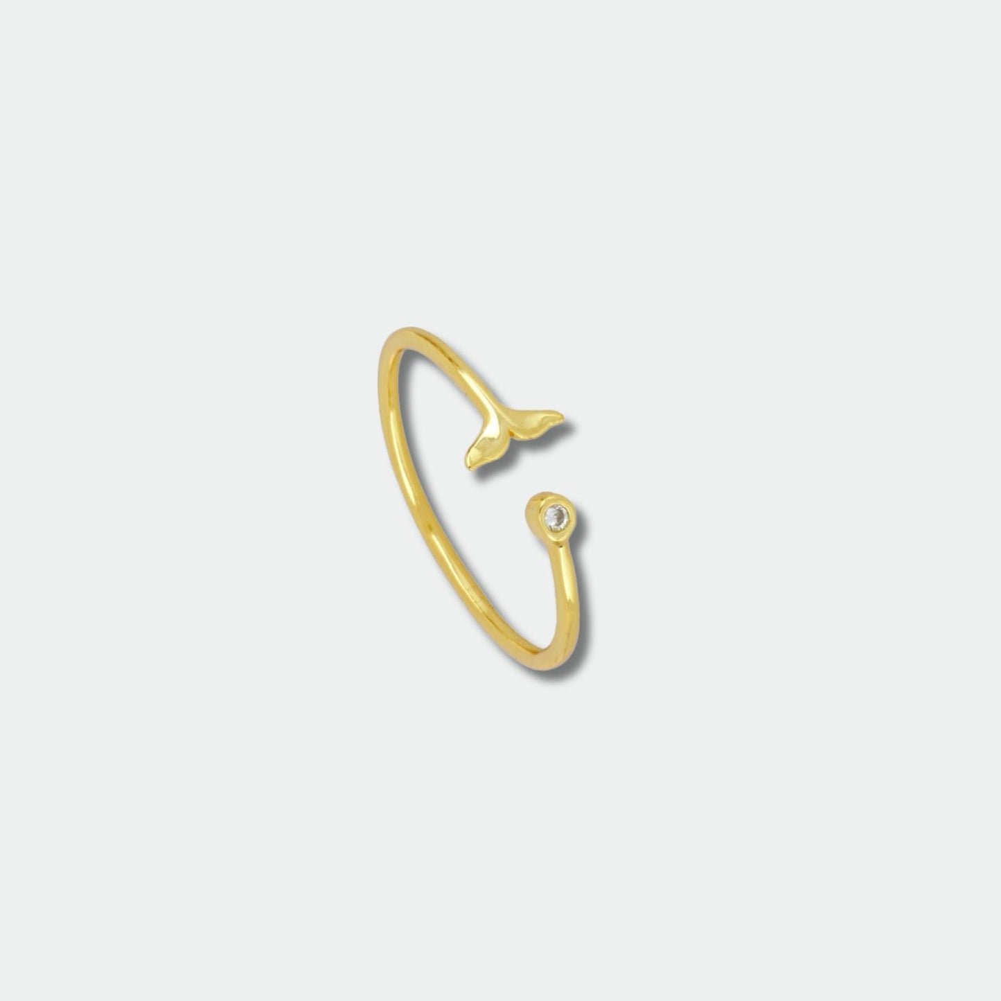 Anillo Ballena