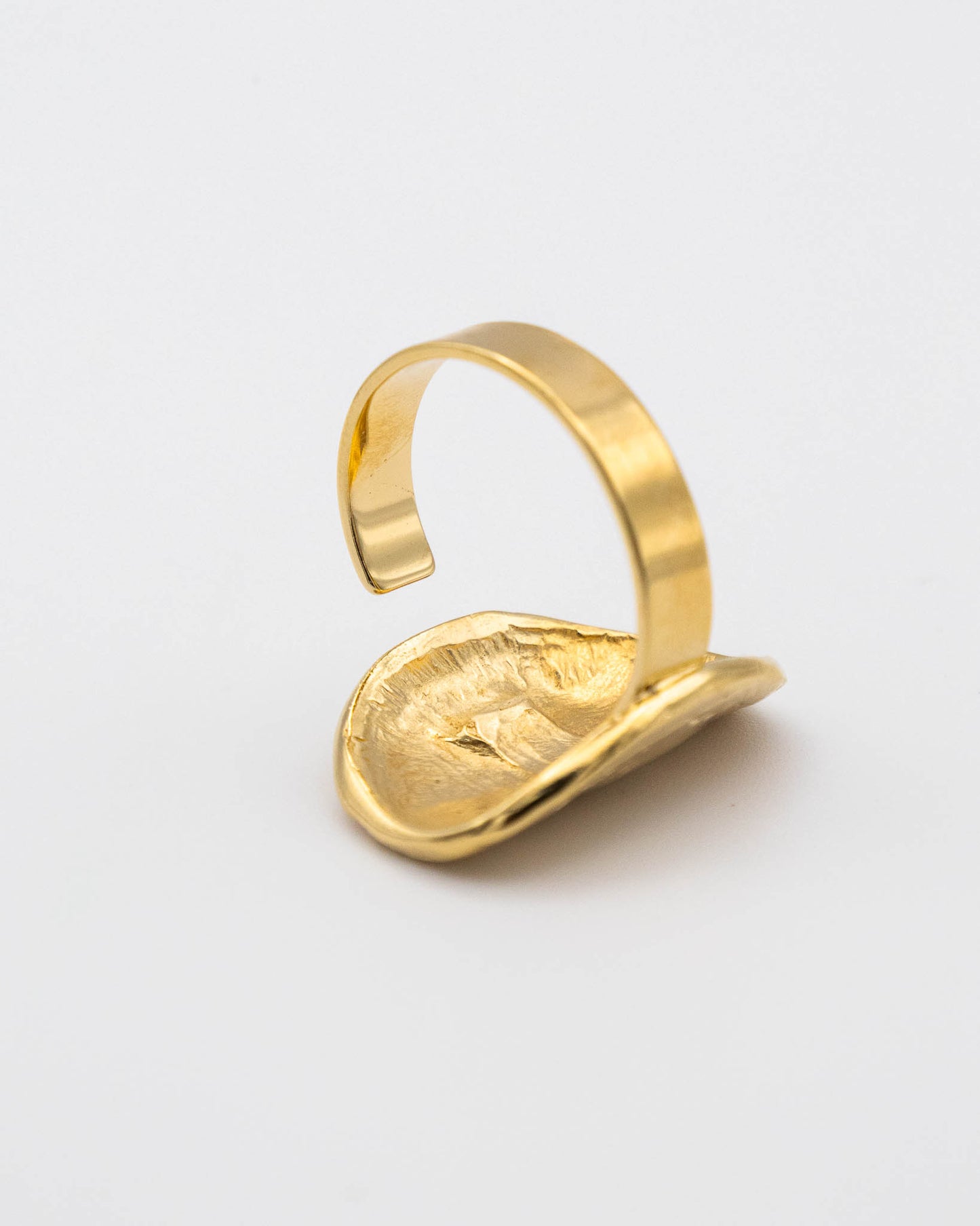 Anillo Moneda
