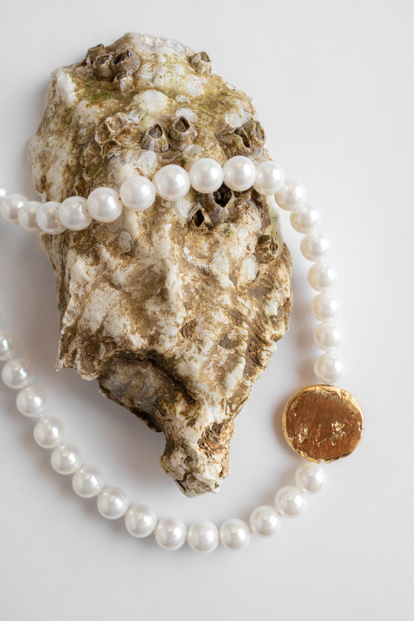 Collar Costa de Marfil